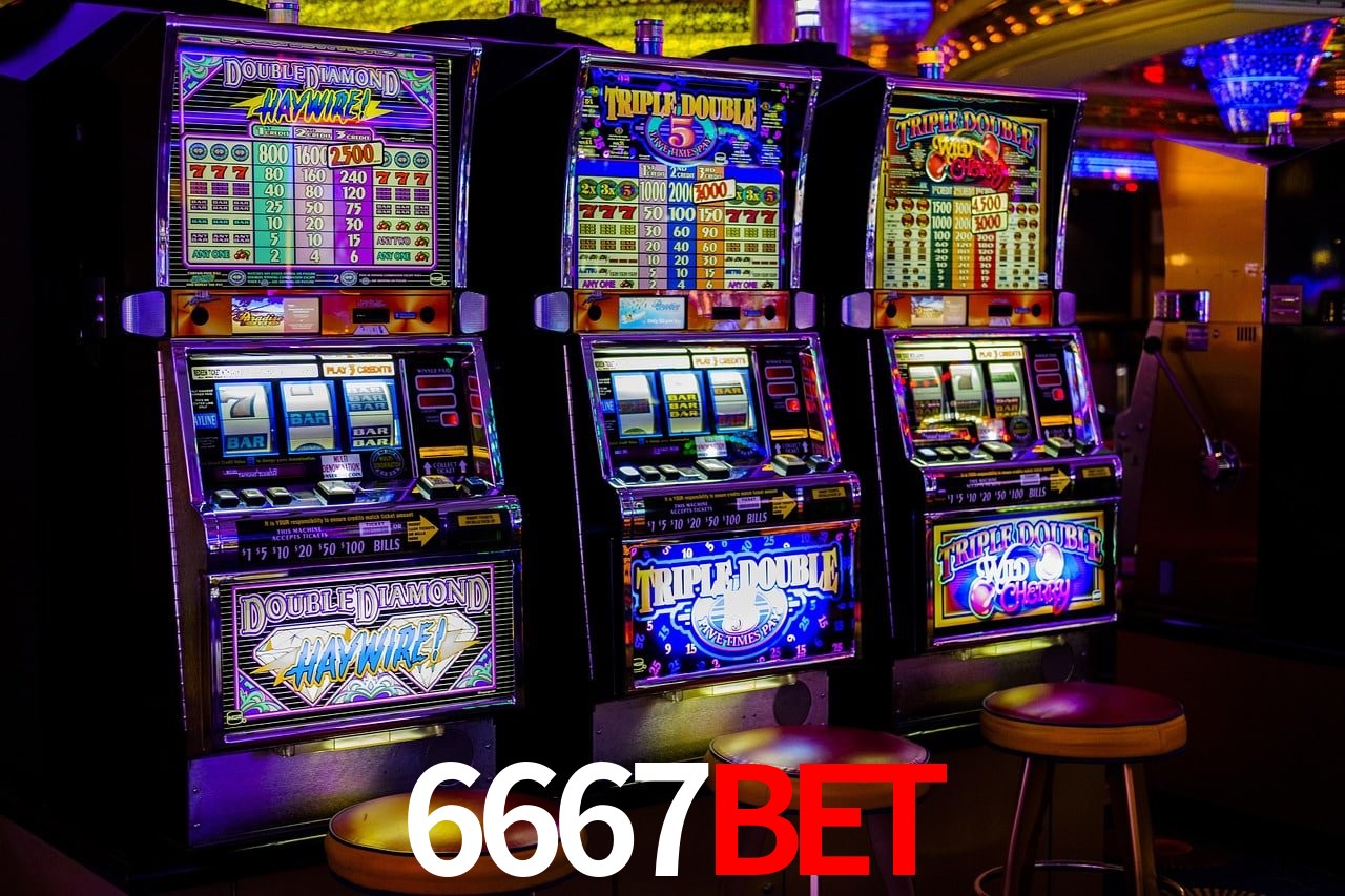 Sports Statistics 6667bet
